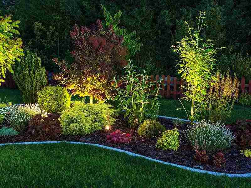Illuminated Garden by LED Lighting. Backyard Garden at Night Closeup Photo.